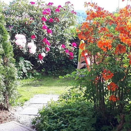 アパート Fw Scheifele *