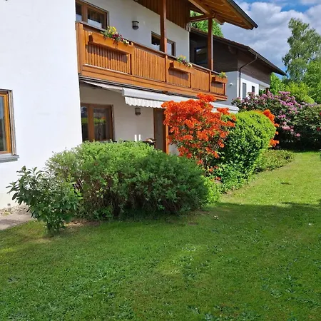 Fw Scheifele * Zwiesel